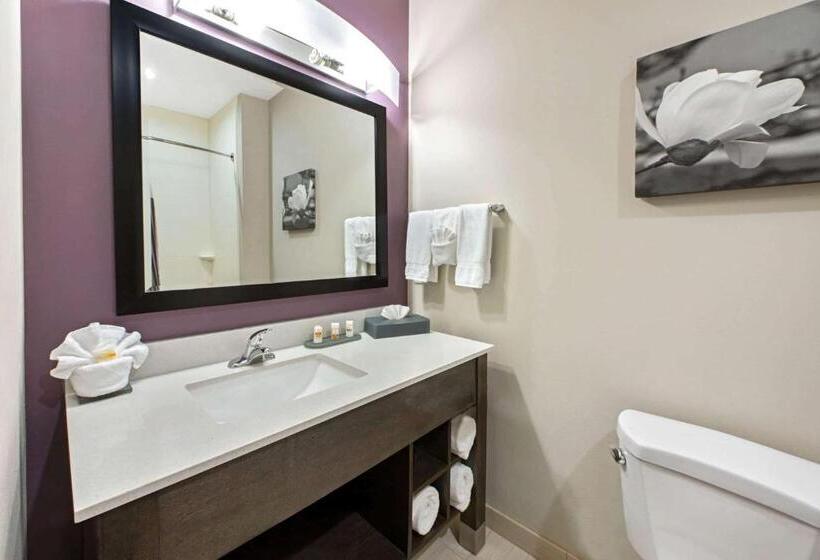 בית מלון כפרי La Quinta By Wyndham Lake Charles   Westlake