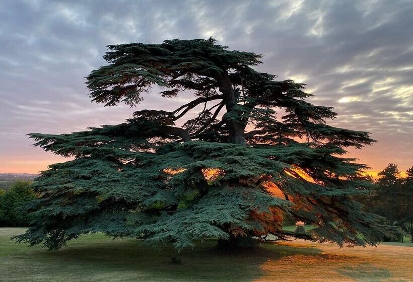 فندق Château Gassies