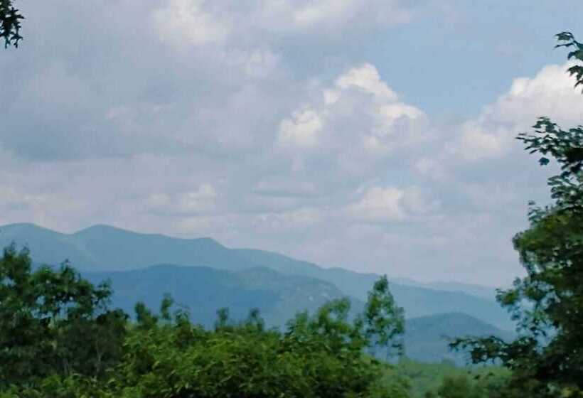 Woodsy Sky Valley Cottage, 8 Mi To Dillard!