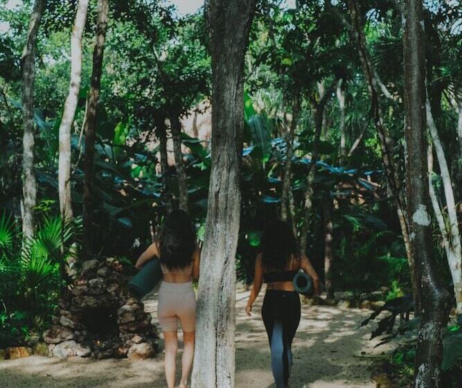 هتل Naya Bacalar