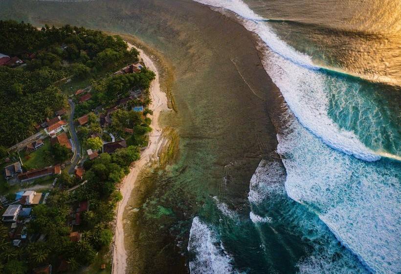 فندق Sumatra Surf Resort