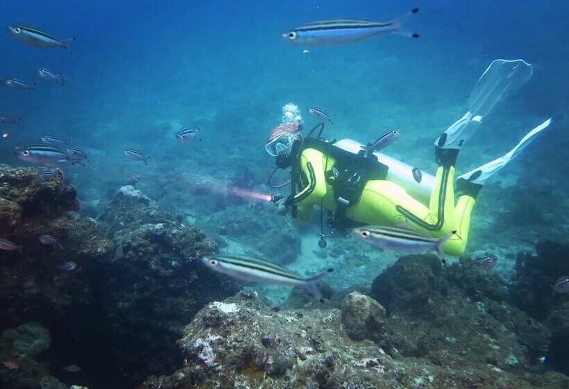 استراحتگاه South Pacific Memories