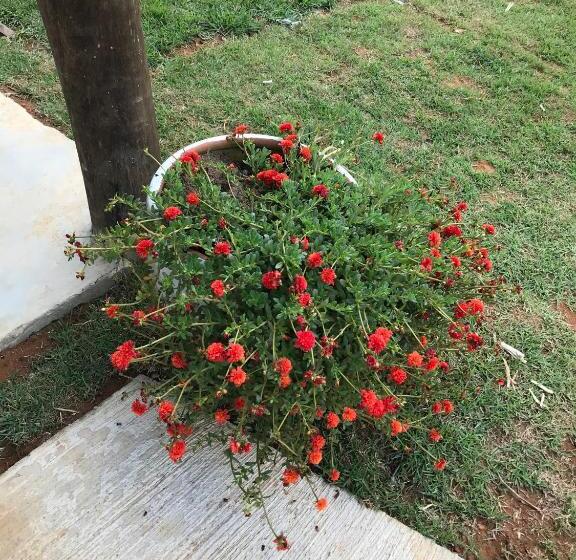 فندق صغير Pousada Vison