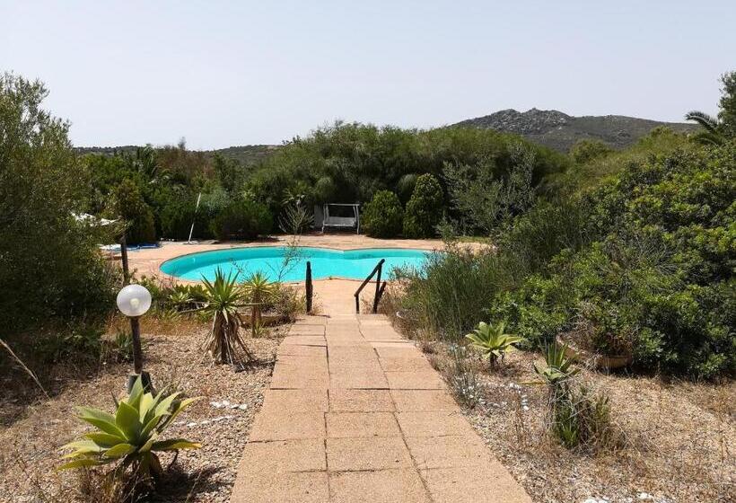 B&b Bithia