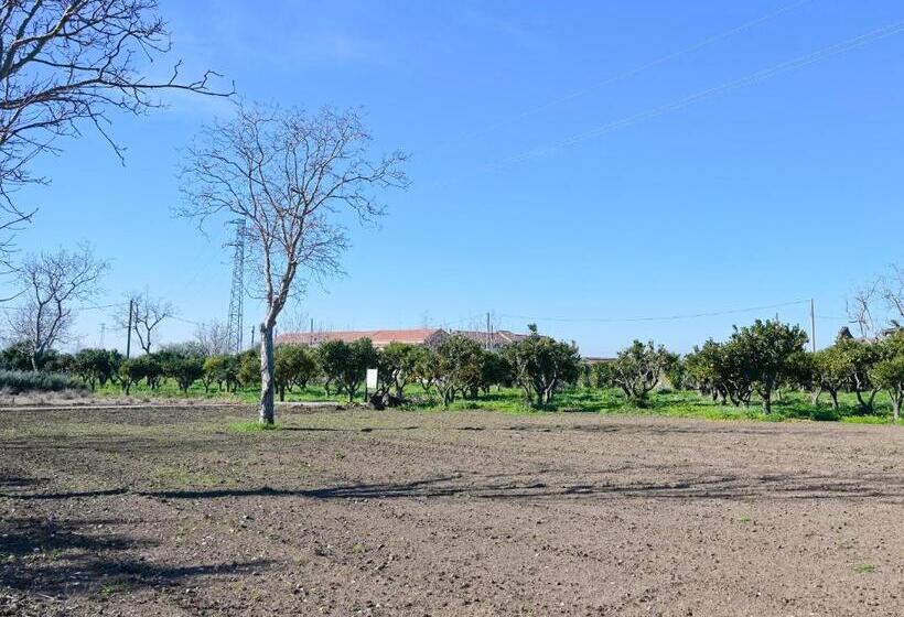 تختخواب و صبحانه Don Peppes : Villaggio Green