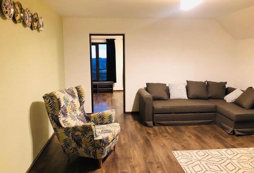 مبيت وإفطار Popasul Din Pietrar