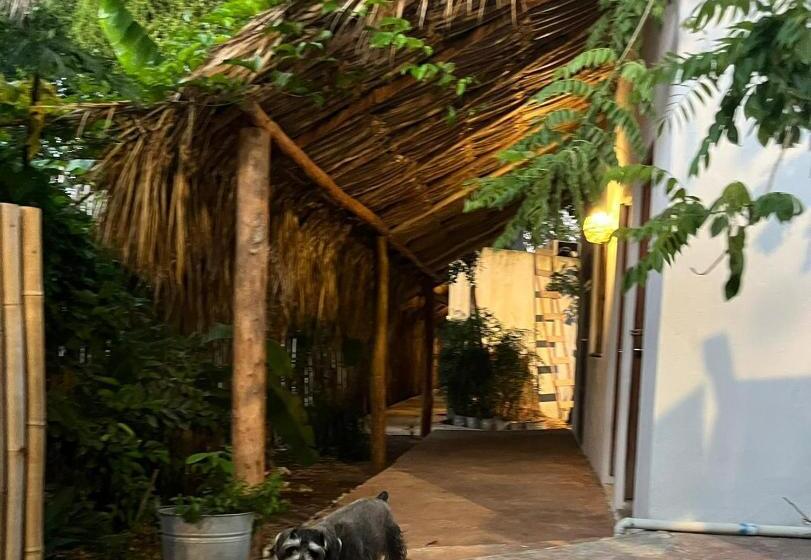 هتل Muy Bacalar
