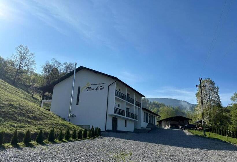 膳宿费 Flori De Tei Maramures
