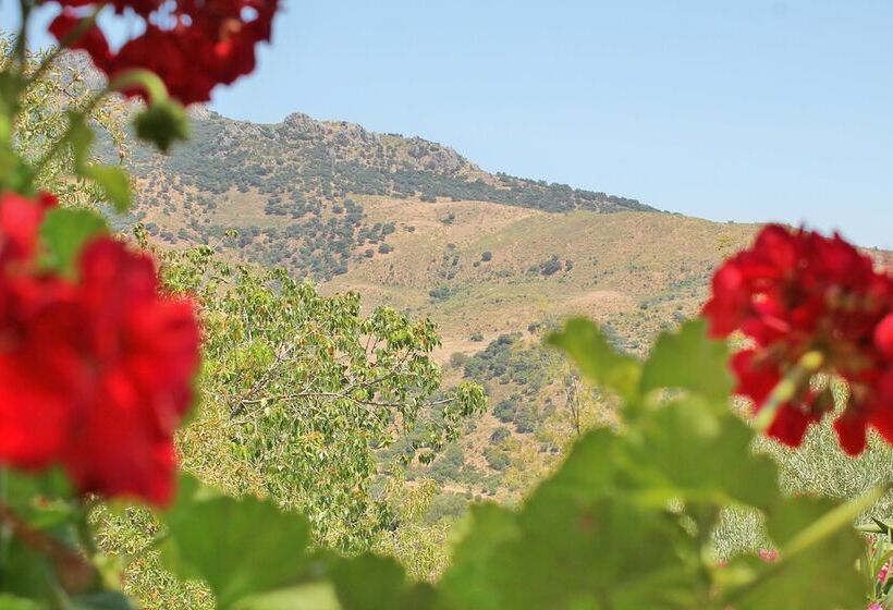 پانسیون Casa Rural Los Algarrobales