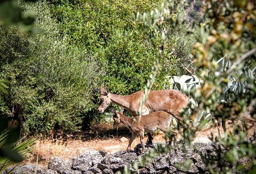 پانسیون Casa Rural Los Algarrobales