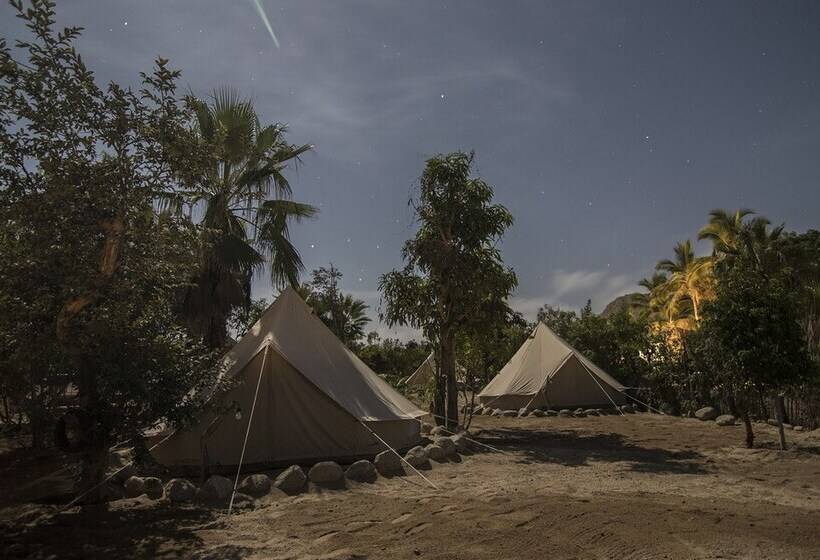 Todos Santos Hostel