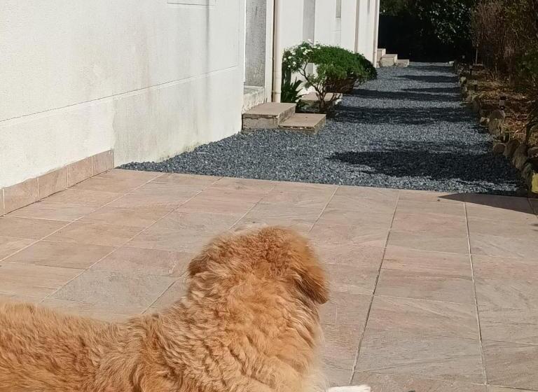 住宿加早餐  La Maison Des Poulains