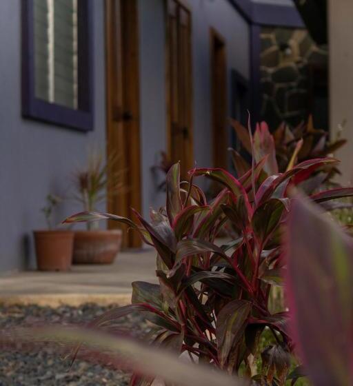 בית מלון כפרי Casa Morada