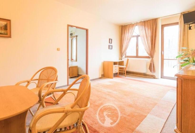 پانسیون Penzion Flídr