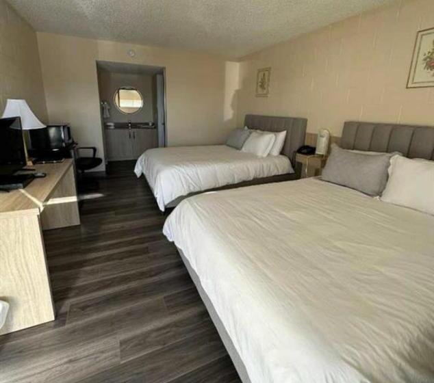 مبيت وإفطار The 22