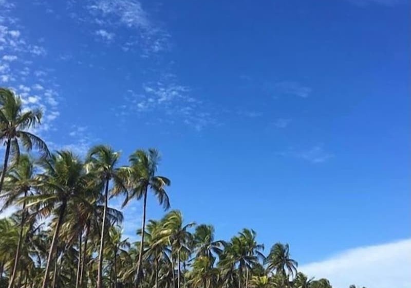 膳宿费 Villa Maree Bahia