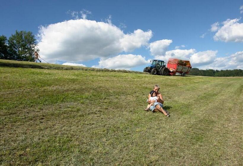 ペンション Brettmaisserhof