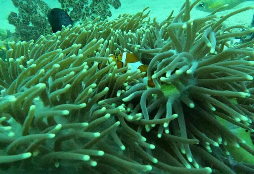 پانسیون Or Mandira Guest House