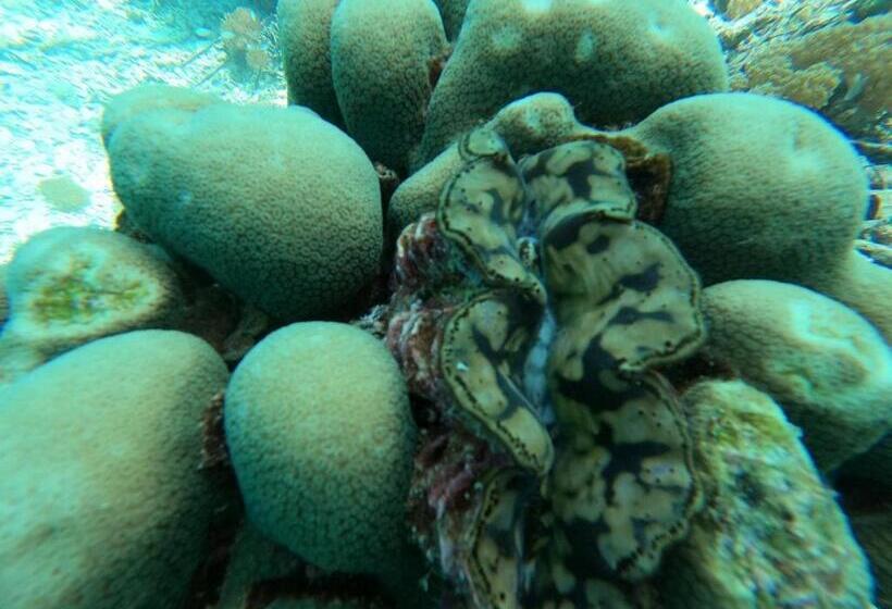 پانسیون Or Mandira Guest House