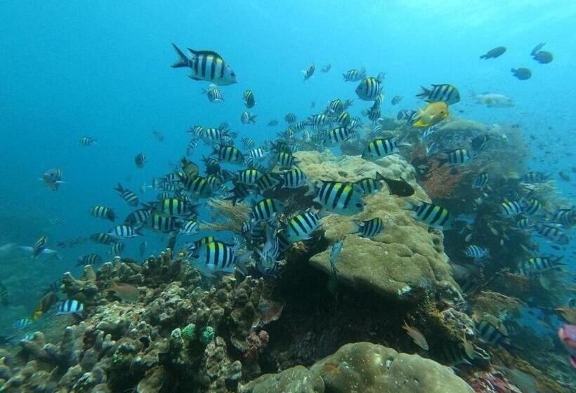 پانسیون Or Mandira Guest House