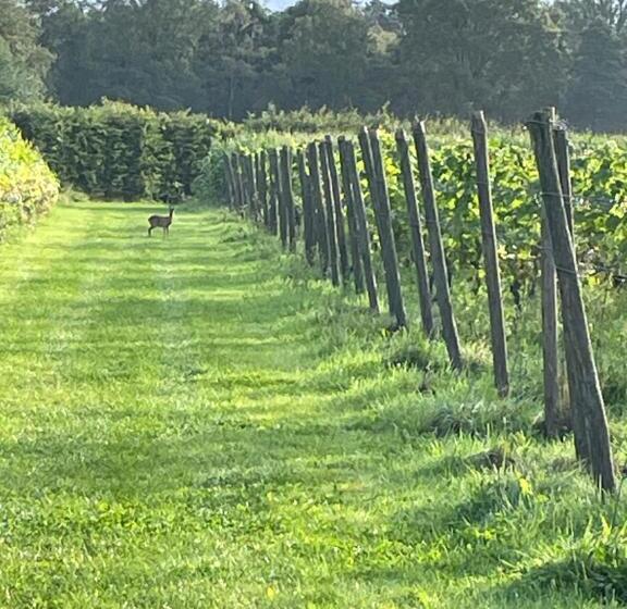 צימר Erve Zonnehoeve