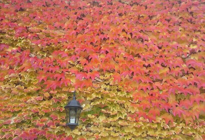 تختخواب و صبحانه Au Pré Du Moulin