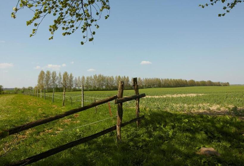 مبيت وإفطار Gutshaus Lexow