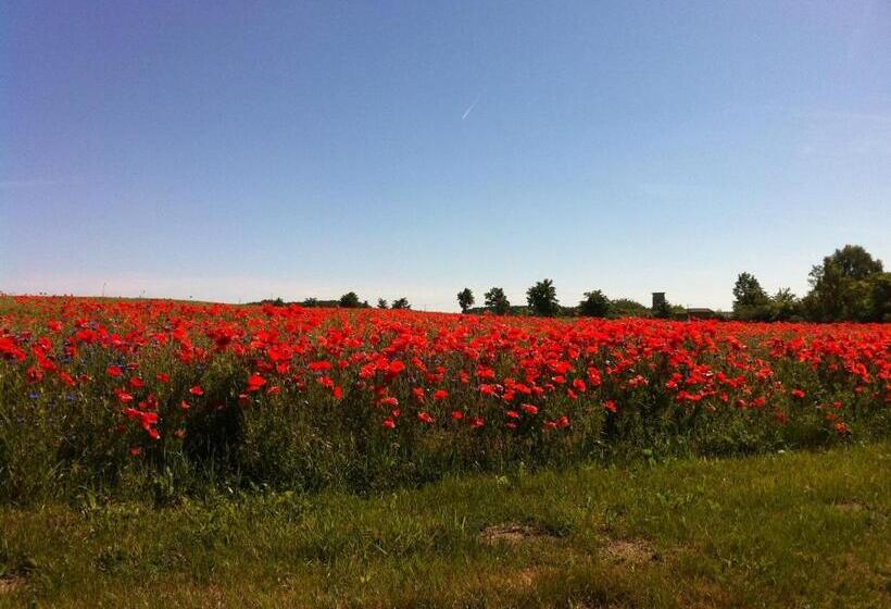 مبيت وإفطار Gutshaus Lexow