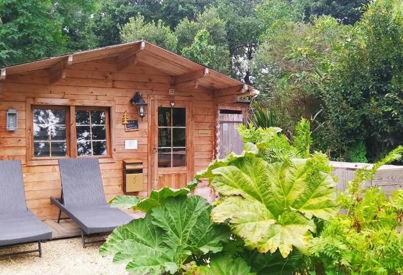 צימר Manoir Desnachez