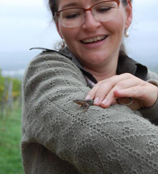 ホテル Heinrichs Winery Bed & Breakfast