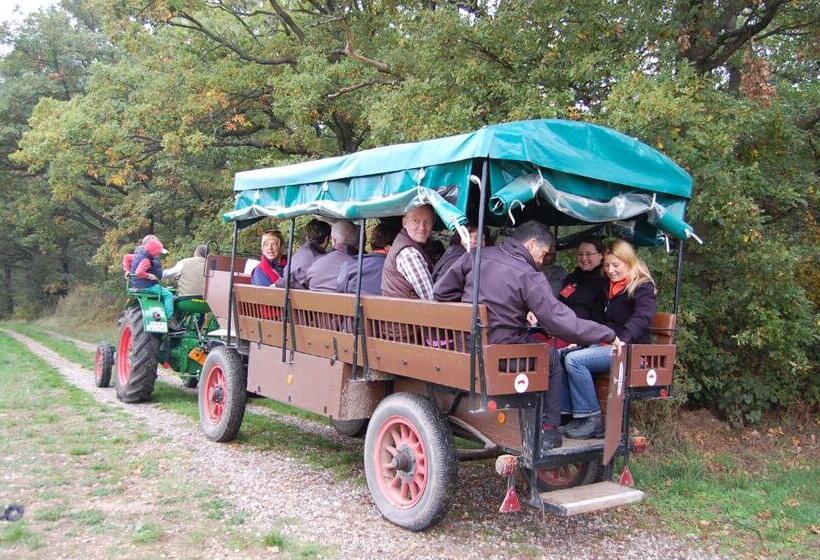 ホテル Heinrichs Winery Bed & Breakfast