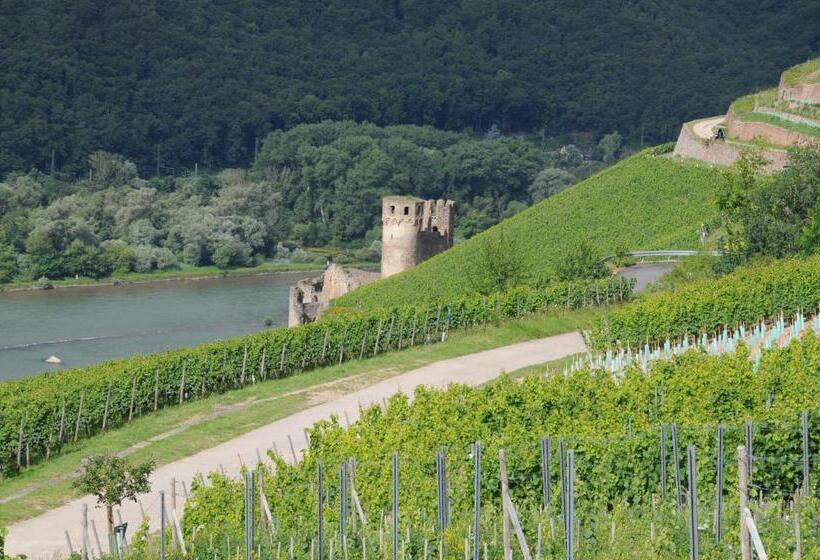 هتل Krone Rüdesheim