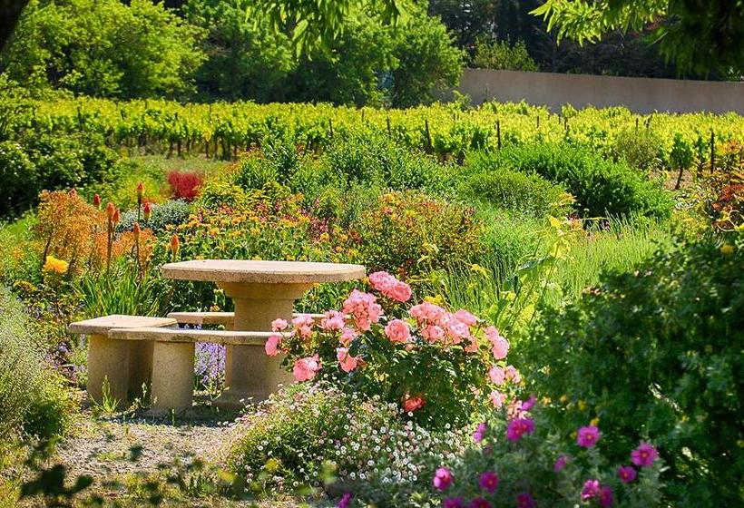 O'vineyards B&b Carcassonne