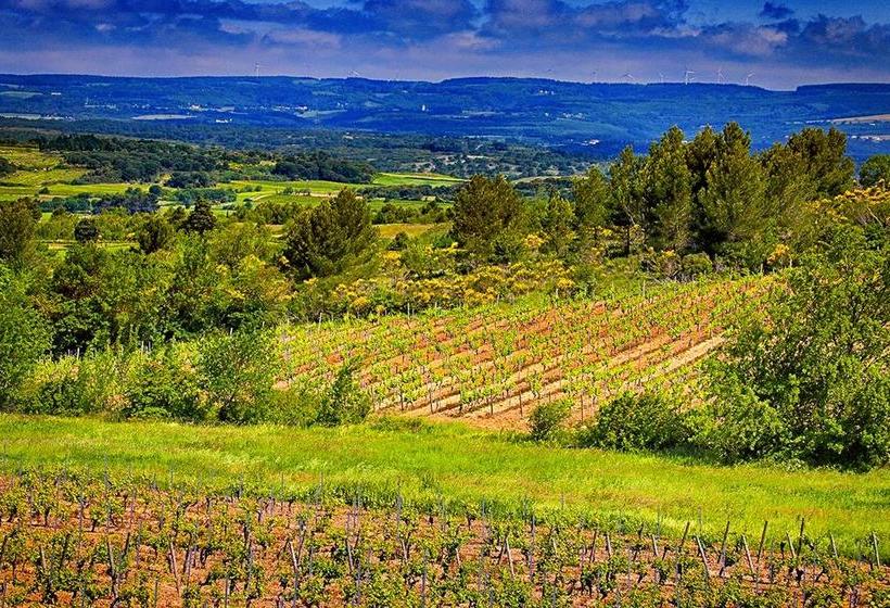 O'vineyards B&b Carcassonne