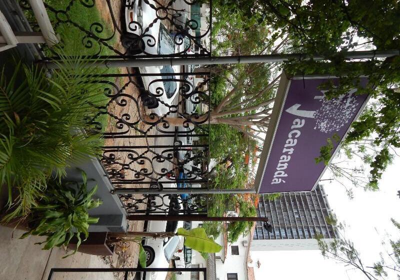 بنسيون Jacaranda Guesthouse