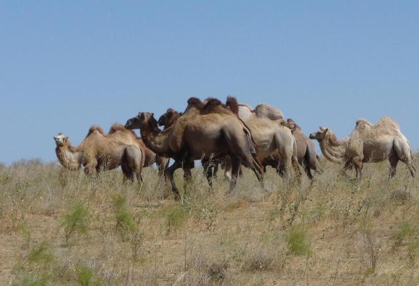 فندق صغير Uhum Guesthouse Nuratau Mountain