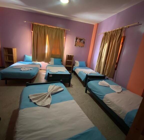 تختخواب و صبحانه Adventurekeys Surf Yoga Cowork