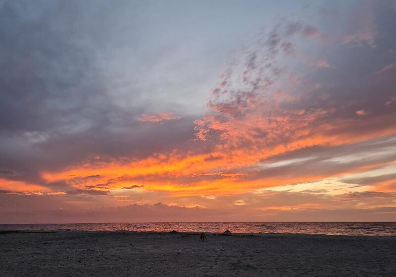 בית מלון כפרי Chevere Beach Cabanas Sas
