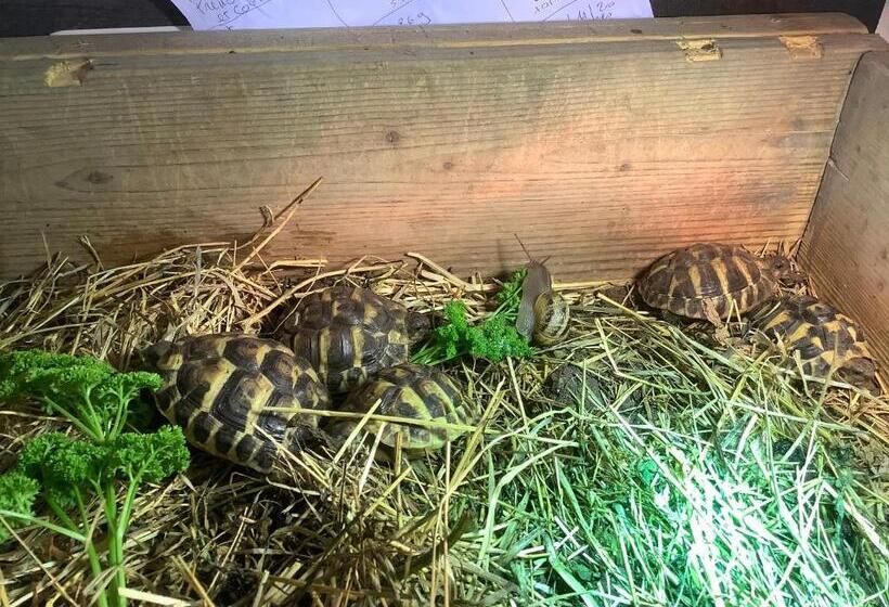 膳宿费 La Maison Du Bonheur