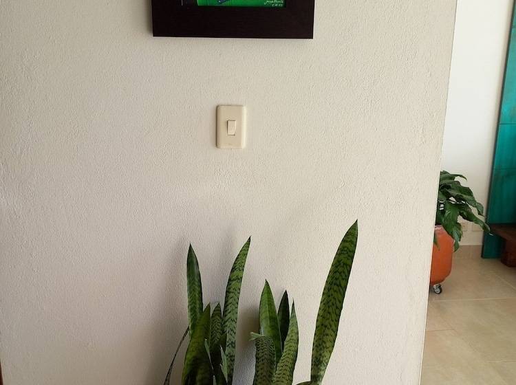 پانسیون Wayra Natura