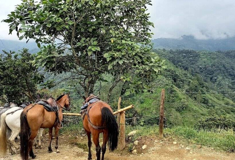 پانسیون Wayra Natura