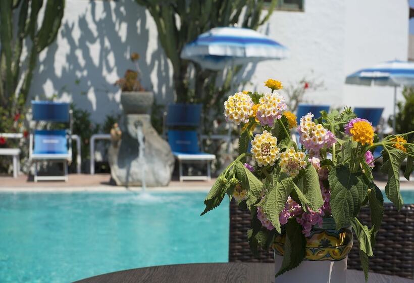Room In B&b   Forio With A Breathtaking View, For 2 People No5469