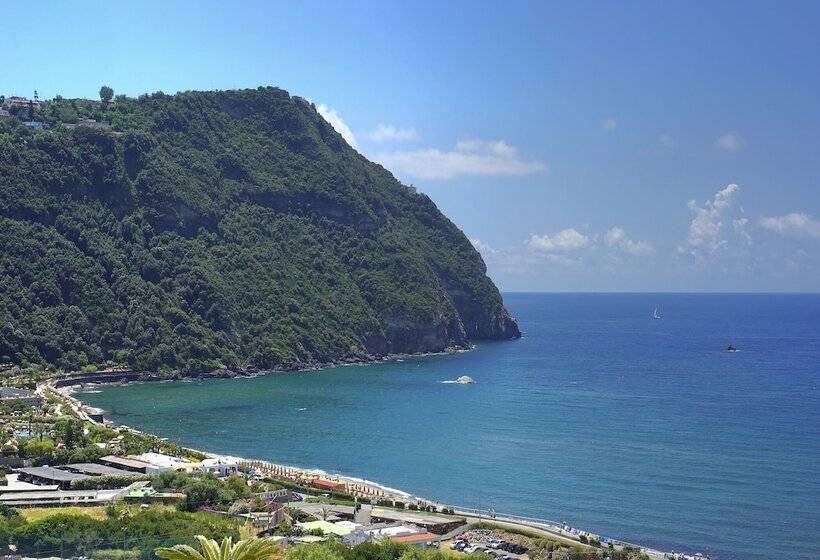 Room In B&b   Forio With A Breathtaking View, For 2 People No5469