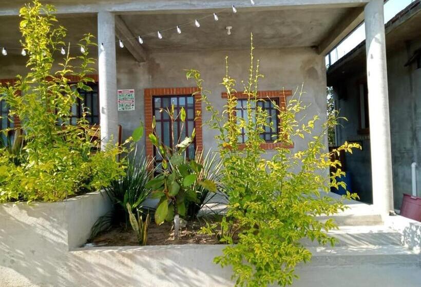 פנסיון Casa Nayeeche, Hospedaje & Dive Center