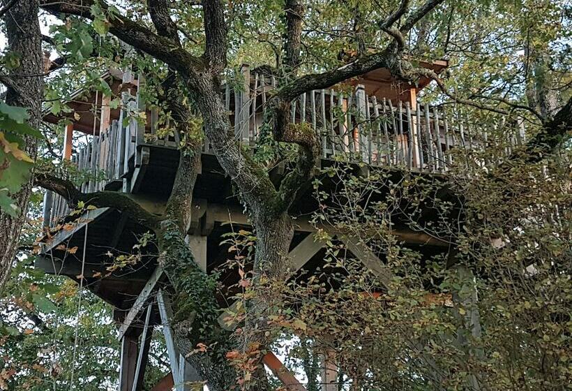 住宿加早餐  Arbrakabane