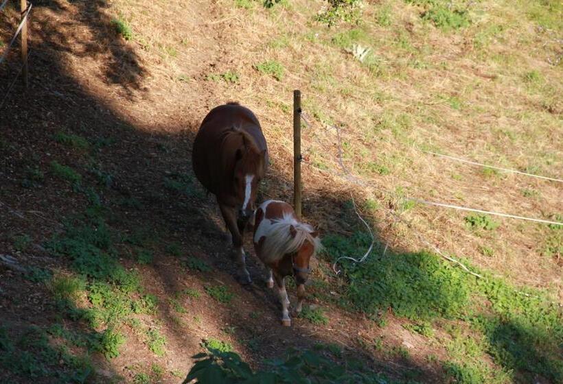 ベッドアンドブレックファースト Chambres D'hôtes Vue Panoramique Proche De Carcassonne