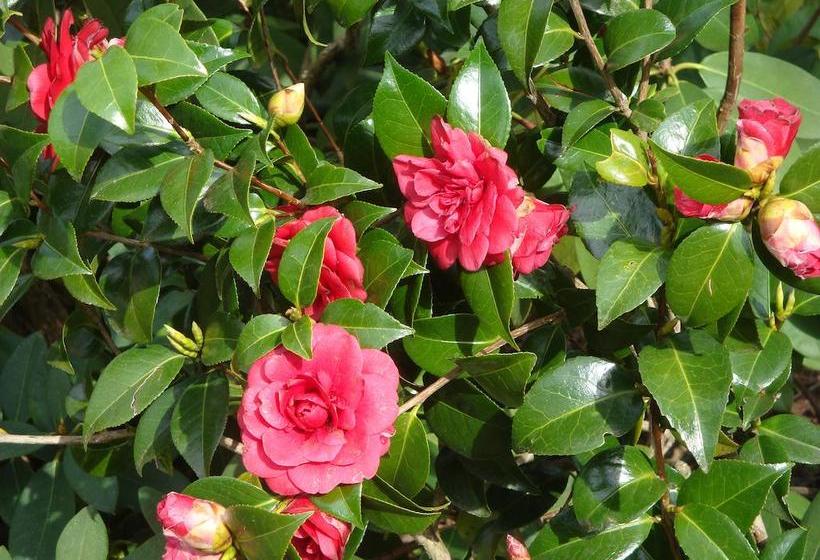 مبيت وإفطار Domaine De Gaudon