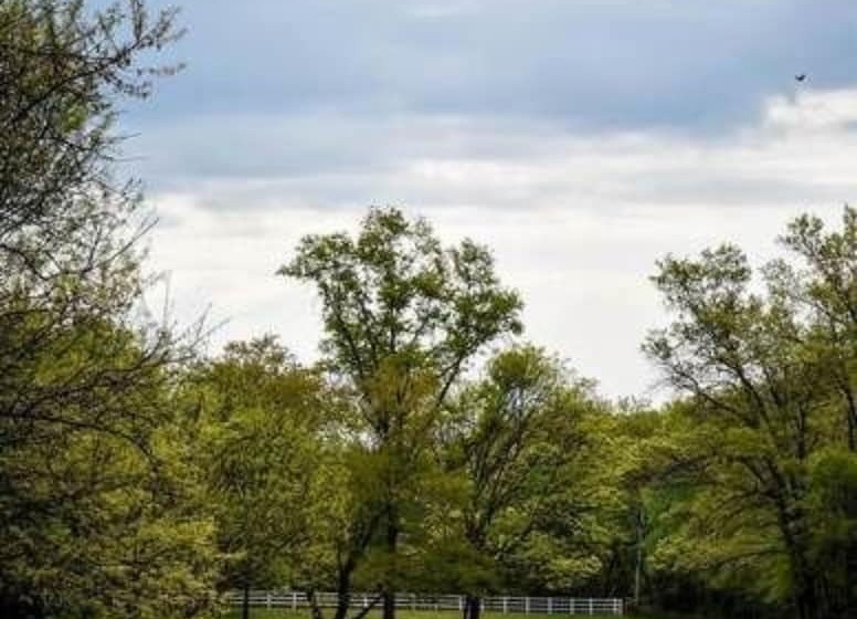 住宿加早餐  Inn At Evergreen