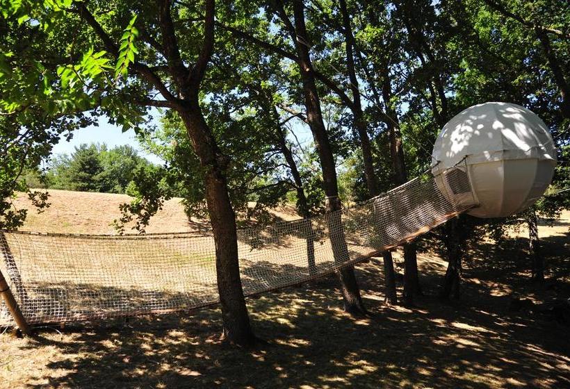 ベッドアンドブレックファースト La Forge De Montolieu