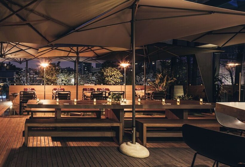 هتل Magnolia Santiago